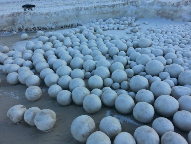 Giant Snowballs